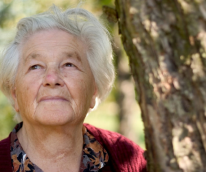 Medicaid planning after a nursing home crisis